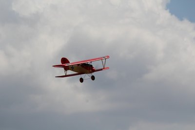 Anteprima 3 di Albatros