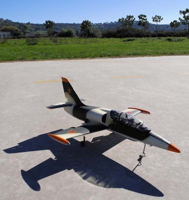 Anteprima 2 di L 39 Albatros