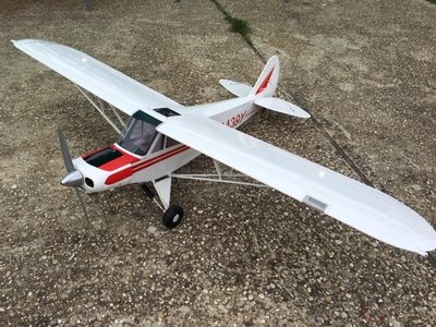 Anteprima 1 di Piper Super Cub