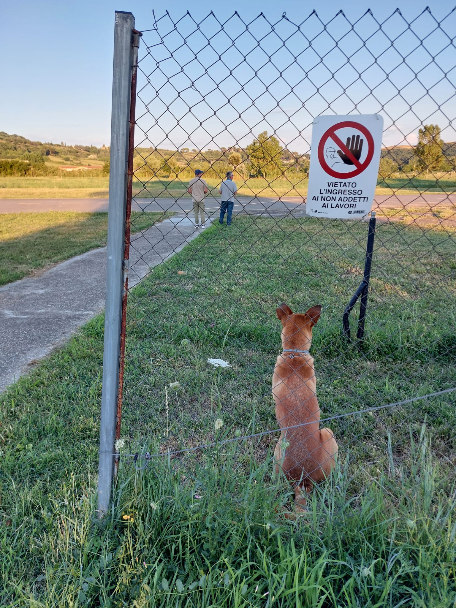 Simon che controlla che il volo si svolga regolarmente